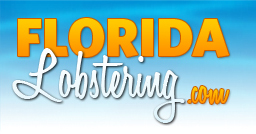 Florida Lobstering